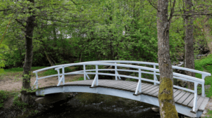 Employee Benefits Self Employed: Image shows a white bridge surrounded by leafy green trees.